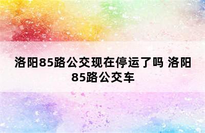 洛阳85路公交现在停运了吗 洛阳85路公交车